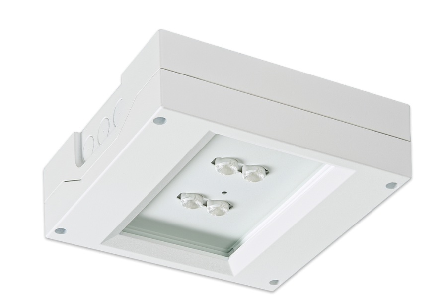SAFE D-4T Bild 1 Produktabbildung SAFE D-4T Bild 1