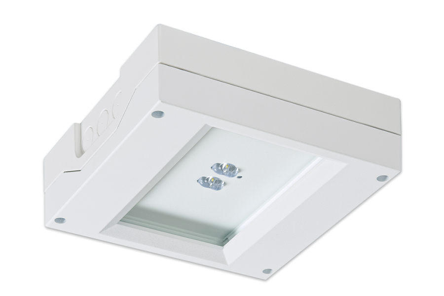SAFE D-2R Bild 1 Produktabbildung SAFE D-2R Bild 1