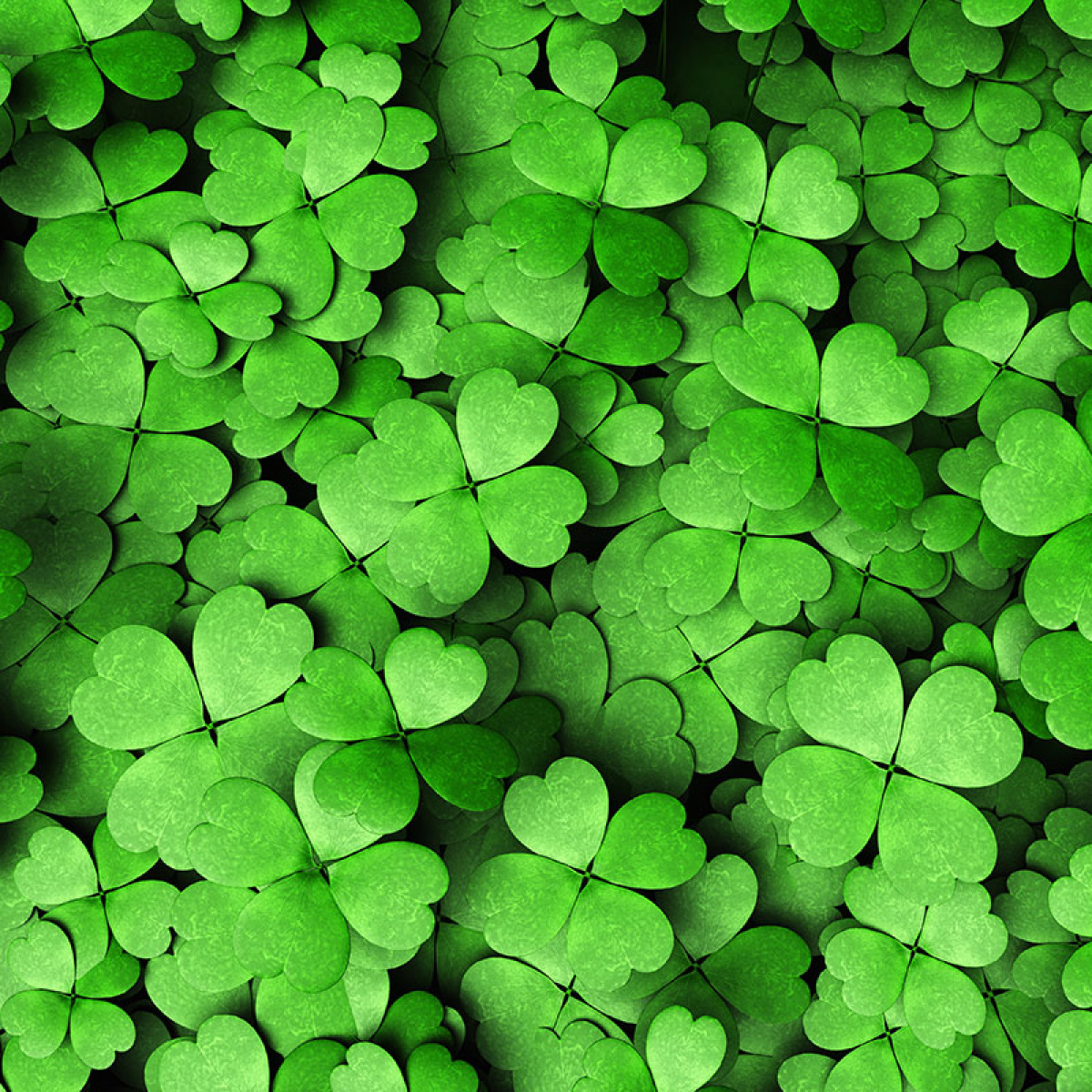 Nicht das passende dabei? PERMALUX