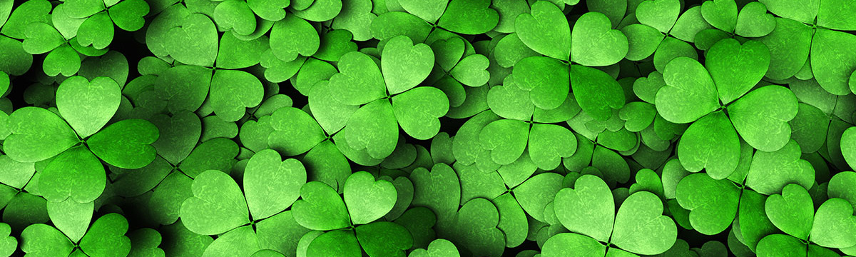 Unsolicited application PERMALUX