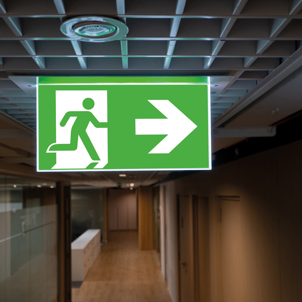 Emergency, safety and general lighting PERMALUX