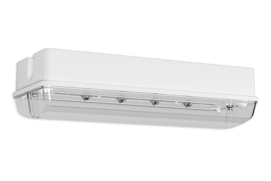 Produktabbildung PROTECT BEL-R DM Bild 1