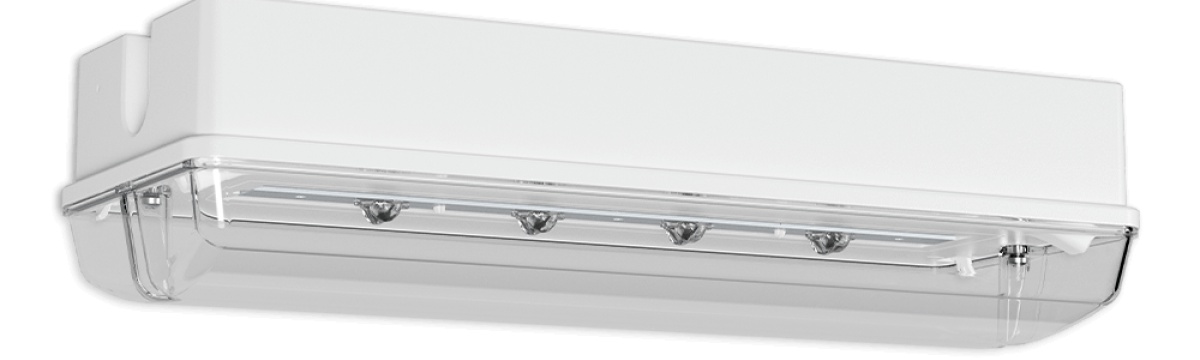 PROTECT BEL-R DM PERMALUX