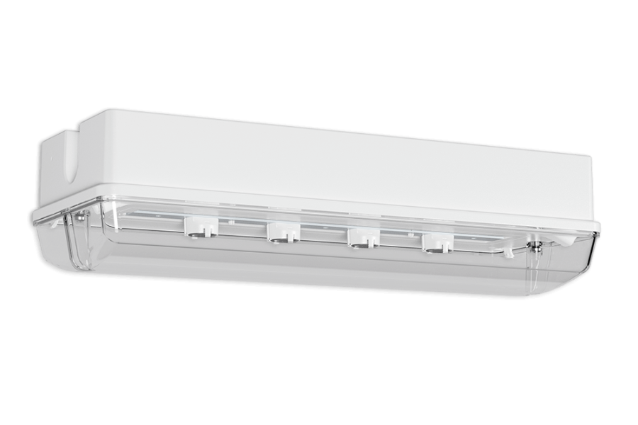 Produktabbildung PROTECT BEL-T DM Bild 1