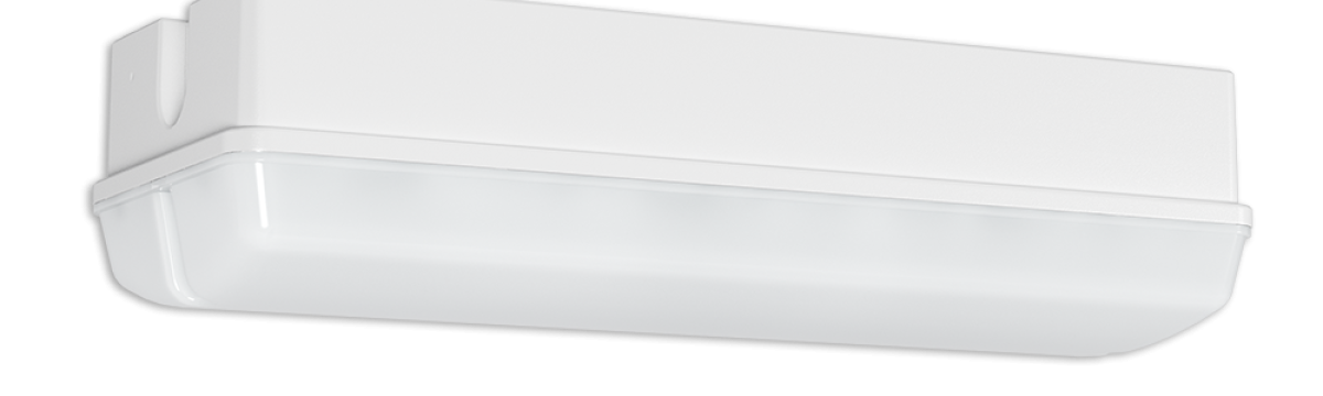 PROTECT BEL WM/DM (OPAL) PERMALUX