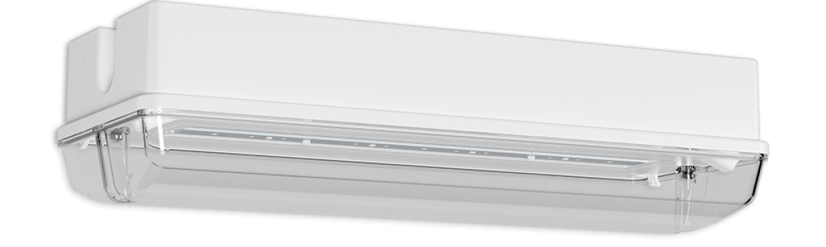 PROTECT BEL WM/DM PERMALUX