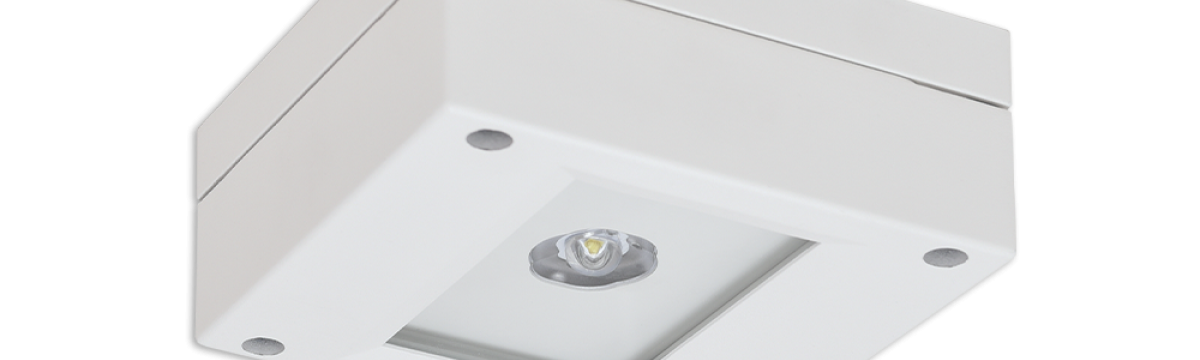 SAFE MINI D-F PERMALUX