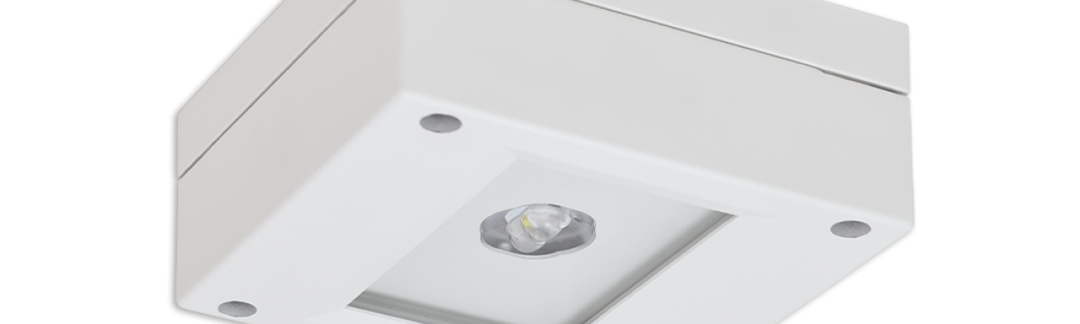 SAFE MINI D-R PERMALUX