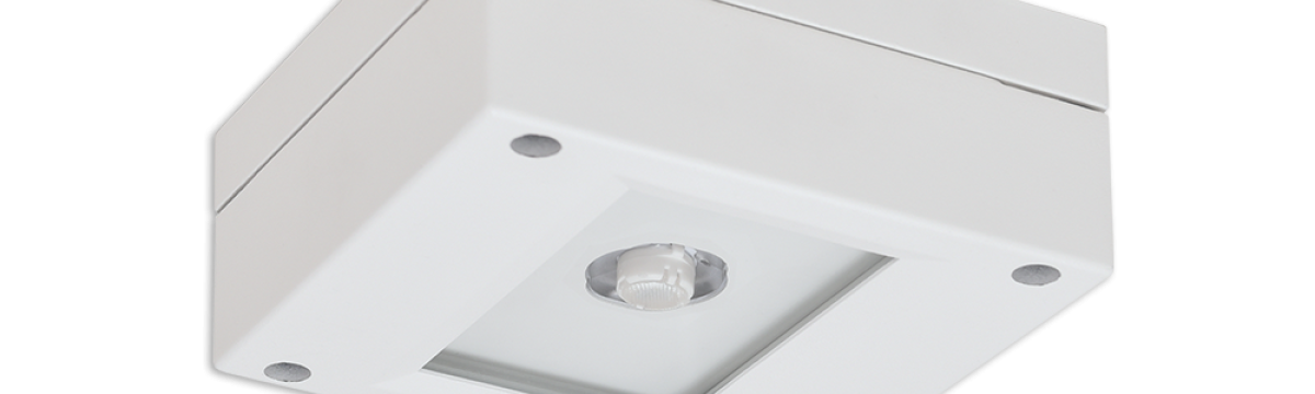 SAFE MINI D-T PERMALUX