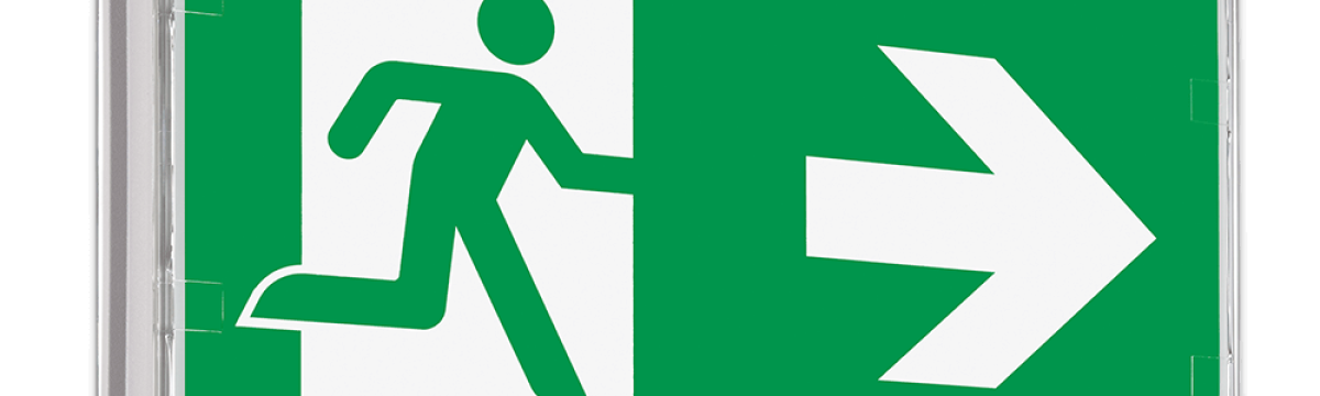 SMARTLUX 300 TWIN DM PERMALUX